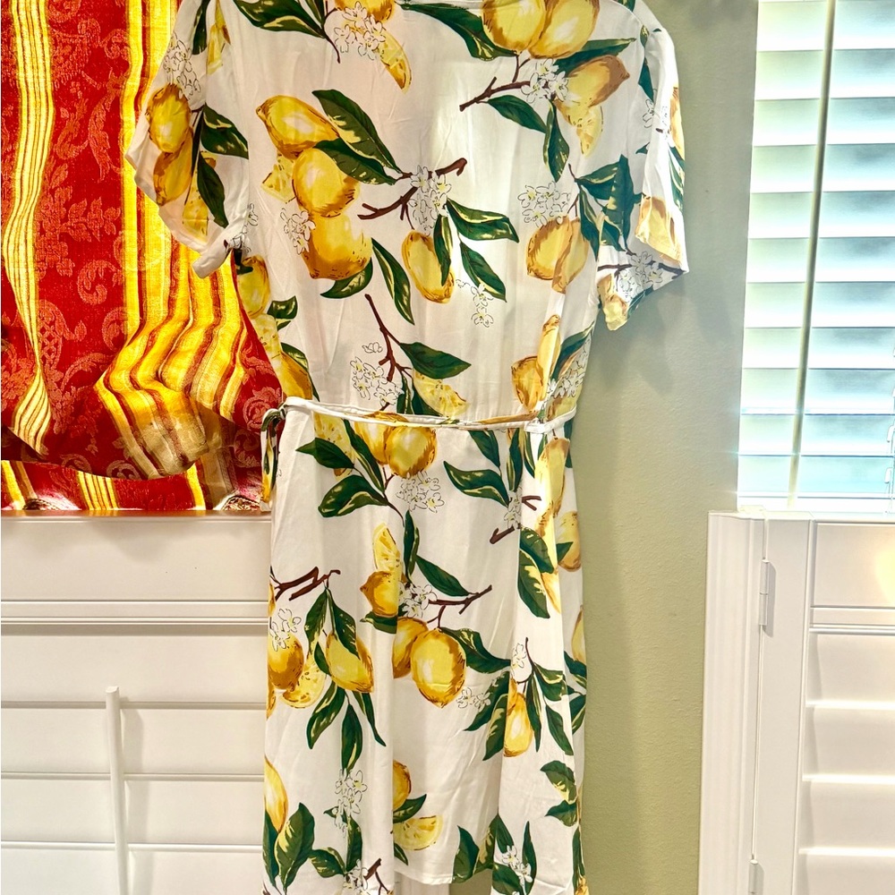 Lulu's White Dress with Yellow and Green Lemon Motif - Picture 3 of 7
